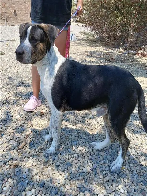 Max