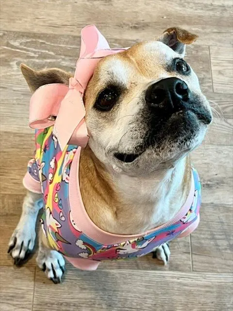 Minnie