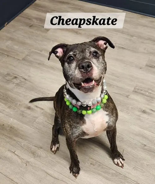 Cheapskate