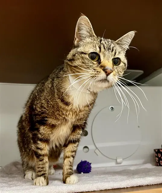 Eloise