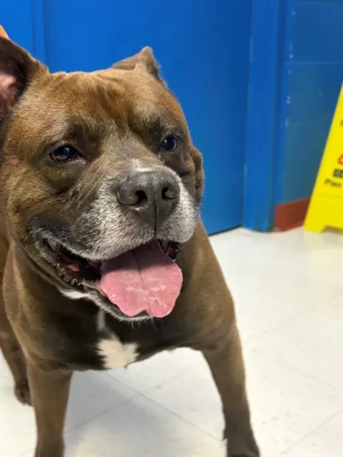 Frank