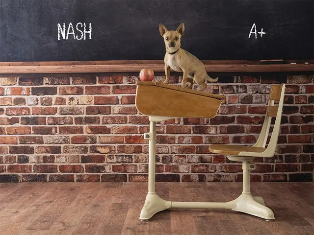 Nash