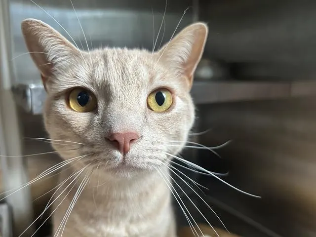 Parker
