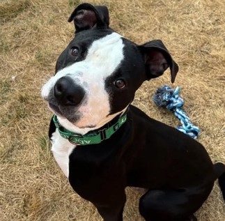 Kelp-In Foster