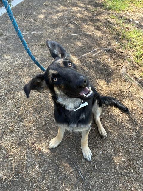 Tina