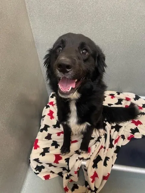 Milo
