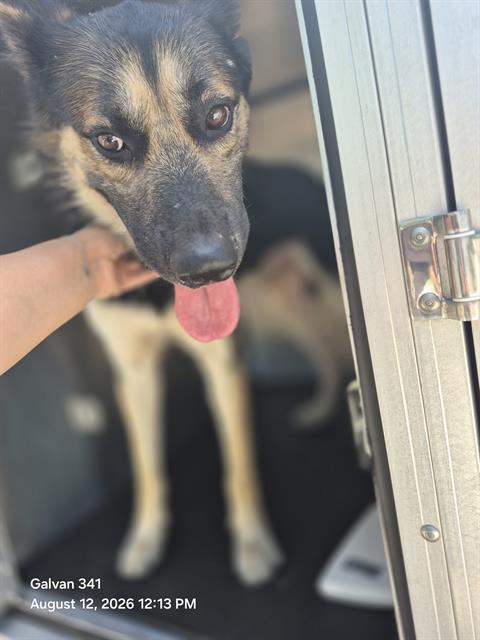 Max