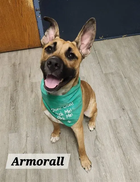 Armorall