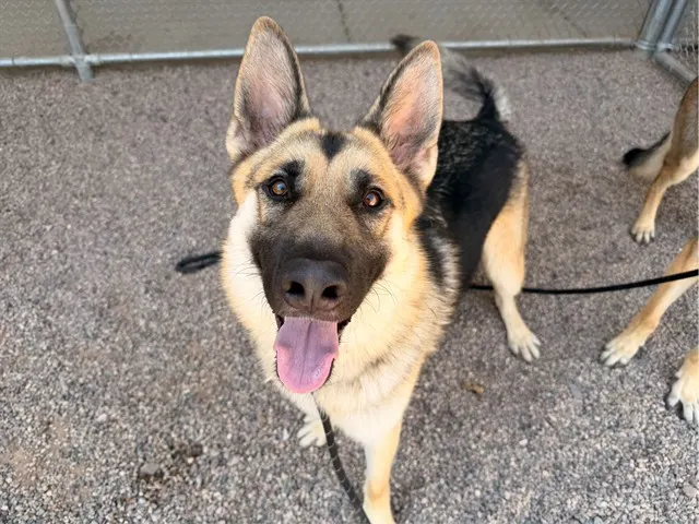 Max