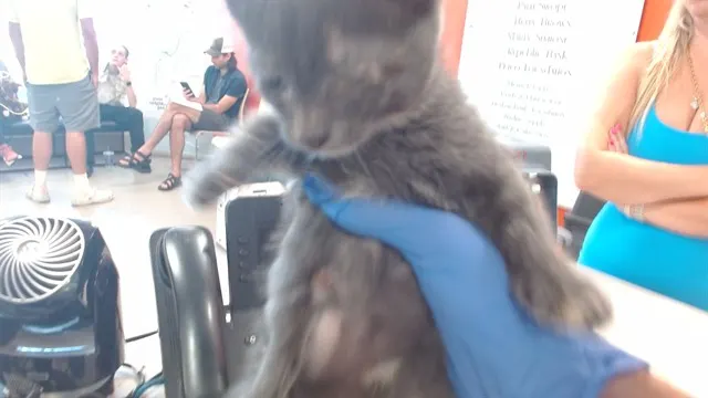 Mewnicipal Transit