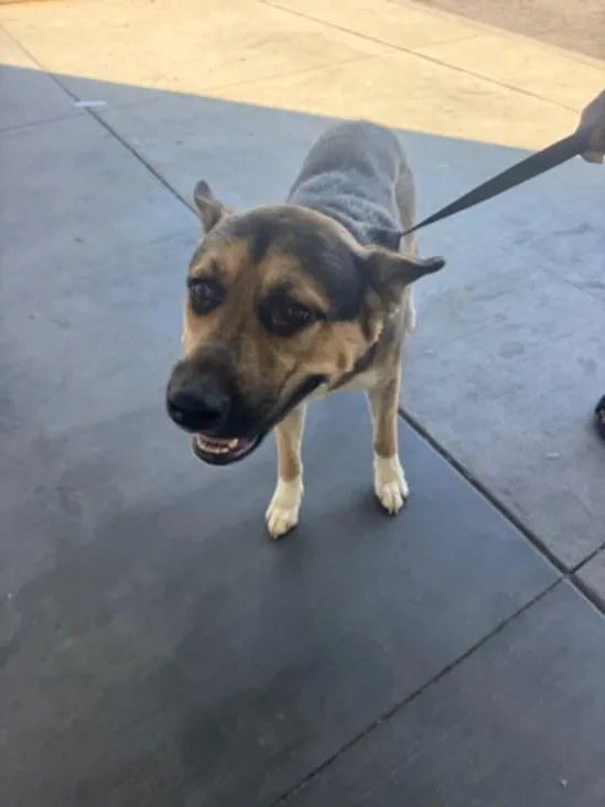 Max