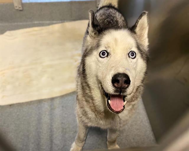 Coco