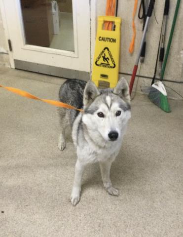 Alaska