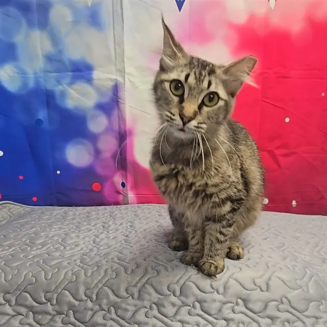 Artemis