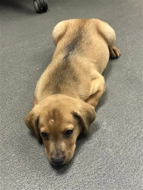 Wink