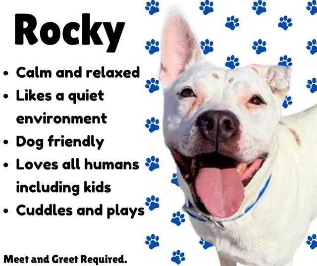 Rocky