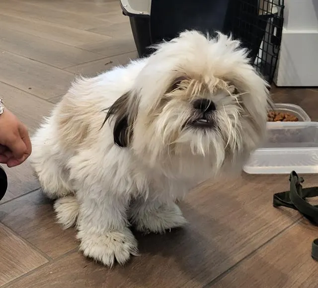 Charlie