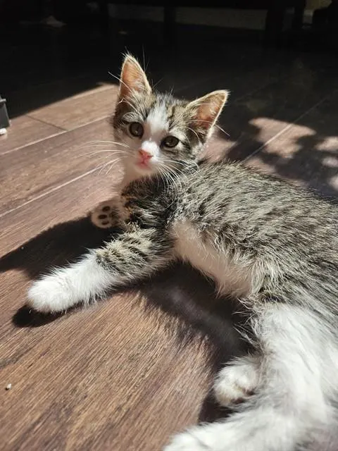 Xena
