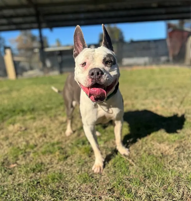 Luna
