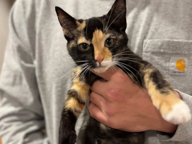 Winnie