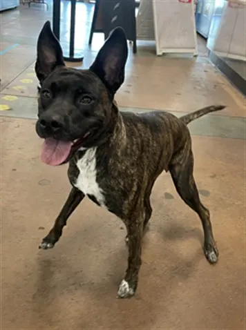 Coco