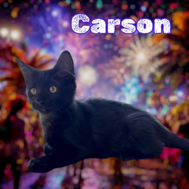 *Carson