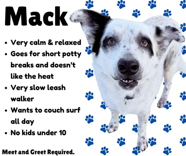 Mack