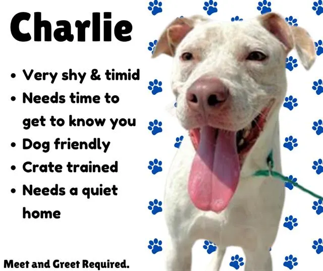 Charlie