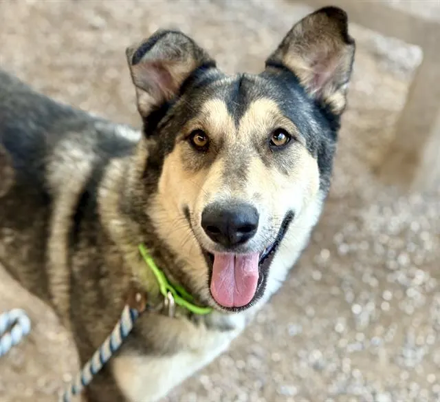 Selena*