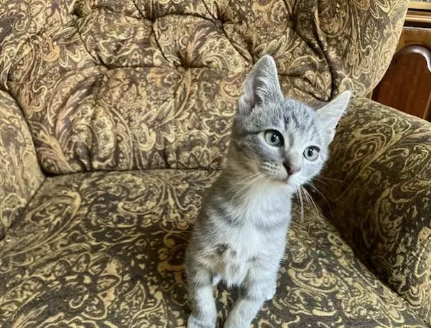 Tiny Tim