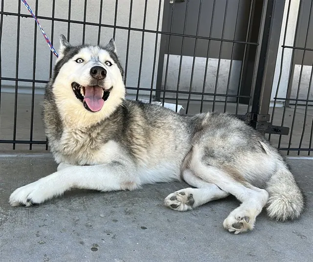 Luna