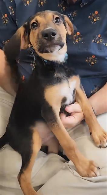 Sid