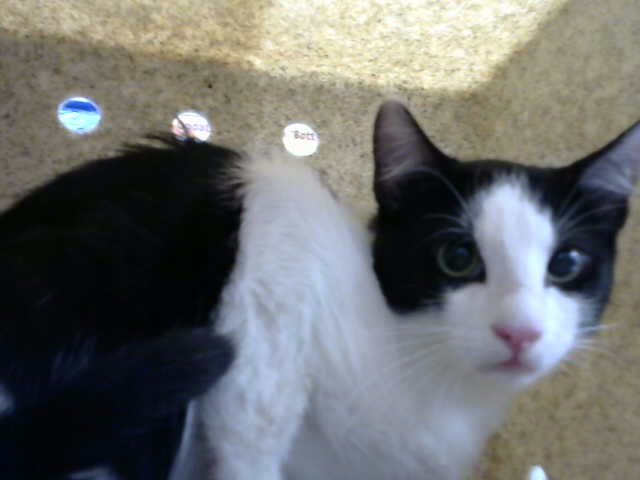 Carly