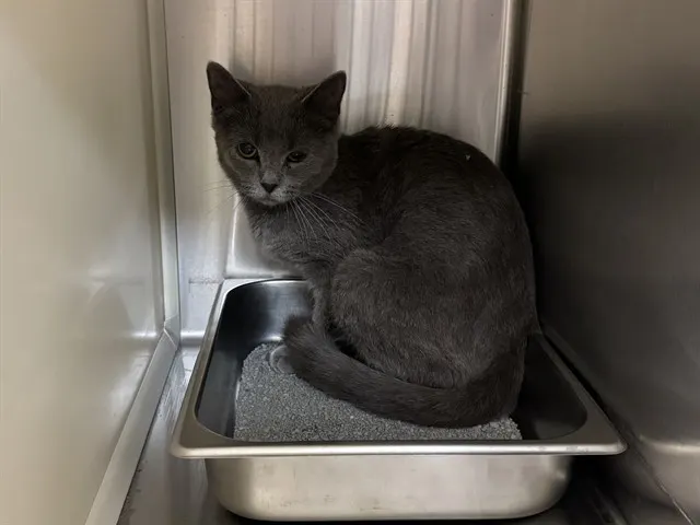Surprise!