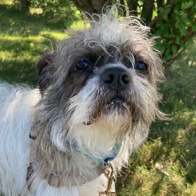 Max