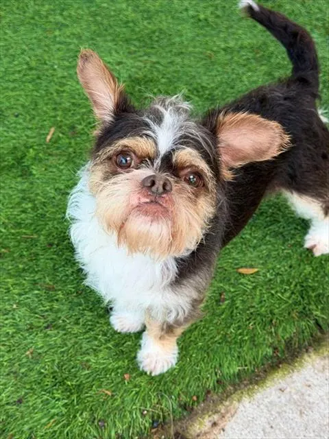 Walter