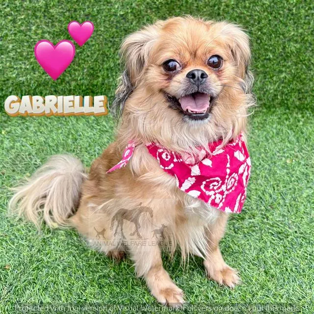 Gabrielle
