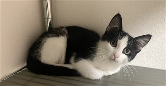 Erik