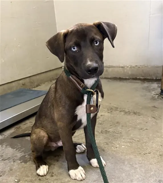 *Max