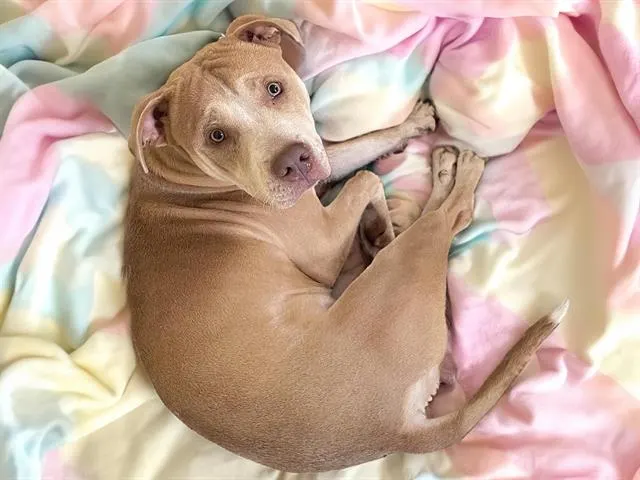 Carlos