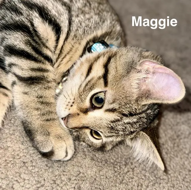 Maggie