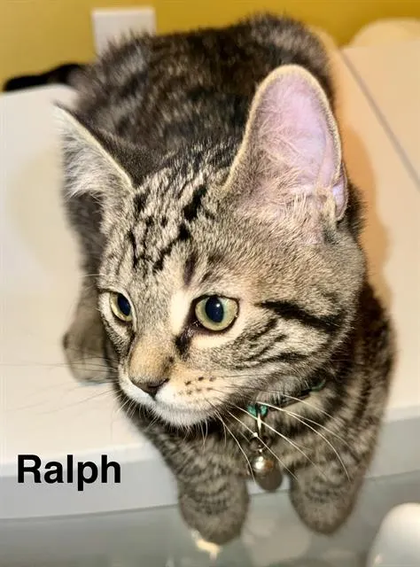 Ralph