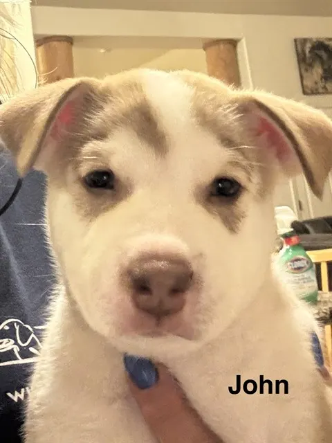 John
