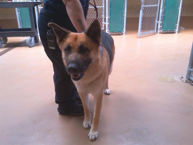 Otto