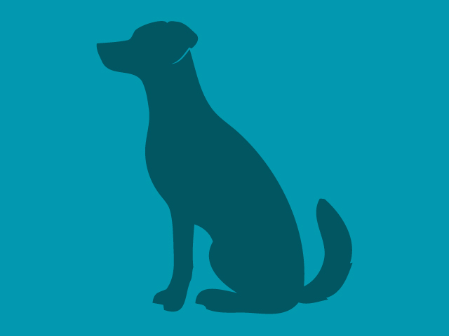 Athena