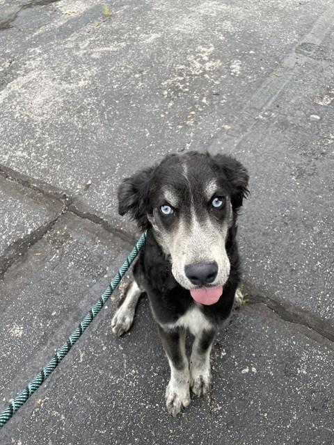 Max