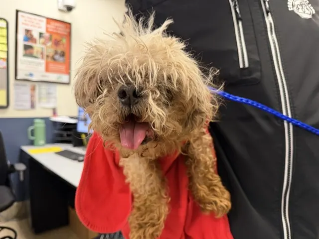 Max