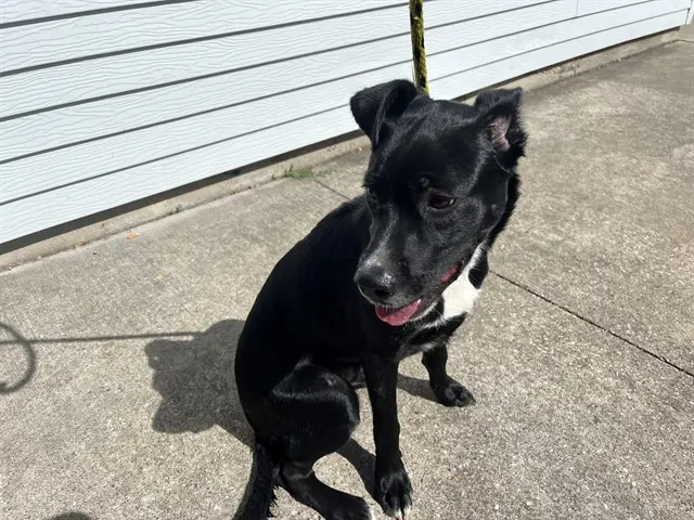 Julio