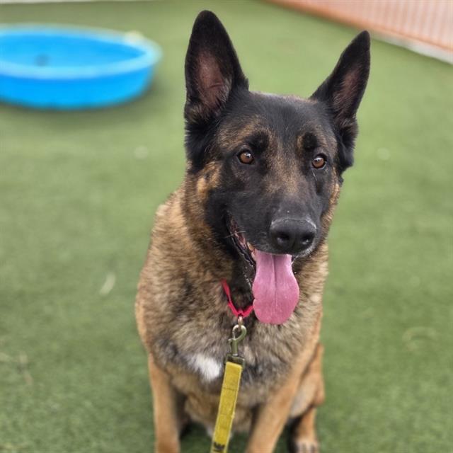 Nacho