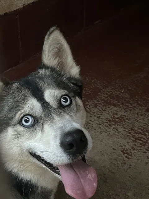 Lucy